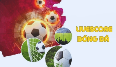 Xoivo.store - Phát trực tiếp bóng đá miễn phí với chất lượng full HD